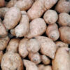 Batata China - Imagen 2