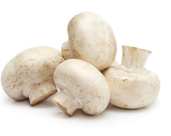 Champiñón Blanco