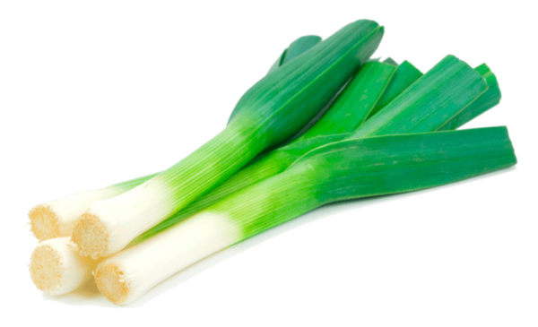 imagen de cebolla puerro
