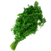 Cilantro - Imagen 2