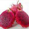 Pitahaya Roja/Fruta Dragon - Imagen 2