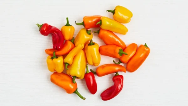Pimentones pequeños de colores