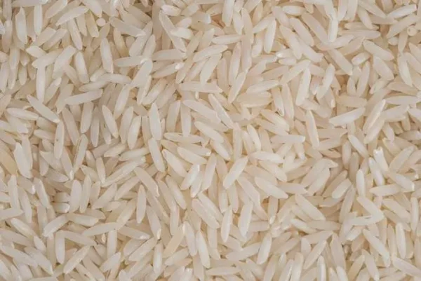 Arroz