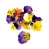 Flores Comestibles